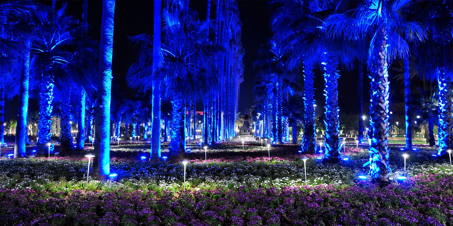 Antalya Expo