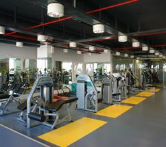 Spor Merkezleri